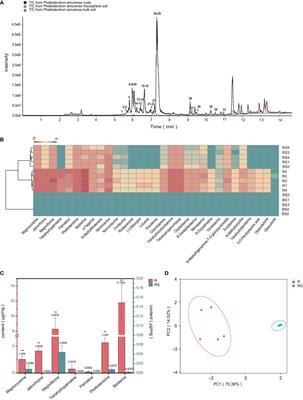 Integrated microbiome and metabolomics analysis reveal the relationship between plant-specialized metabolites and microbial community in Phellodendron amurense